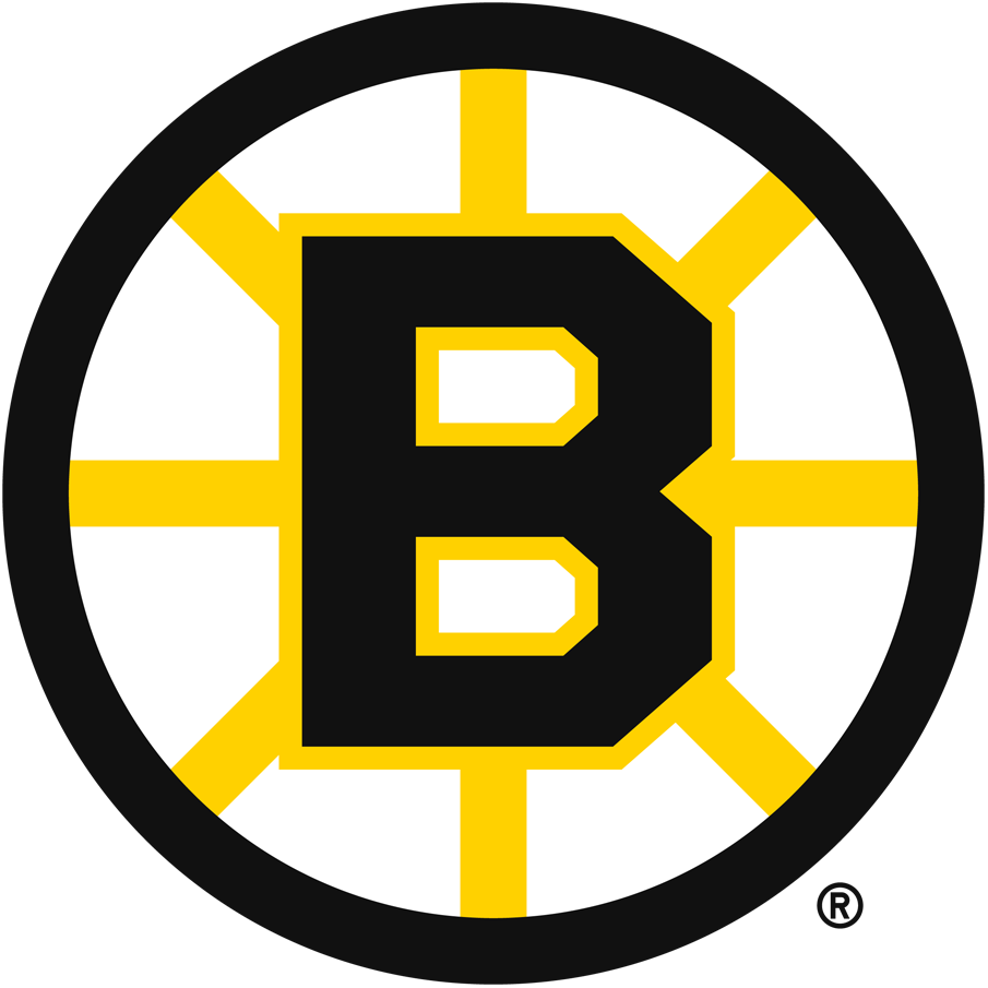 Boston Bruins 1949-1995 Primary Logo iron on transfers for fabric